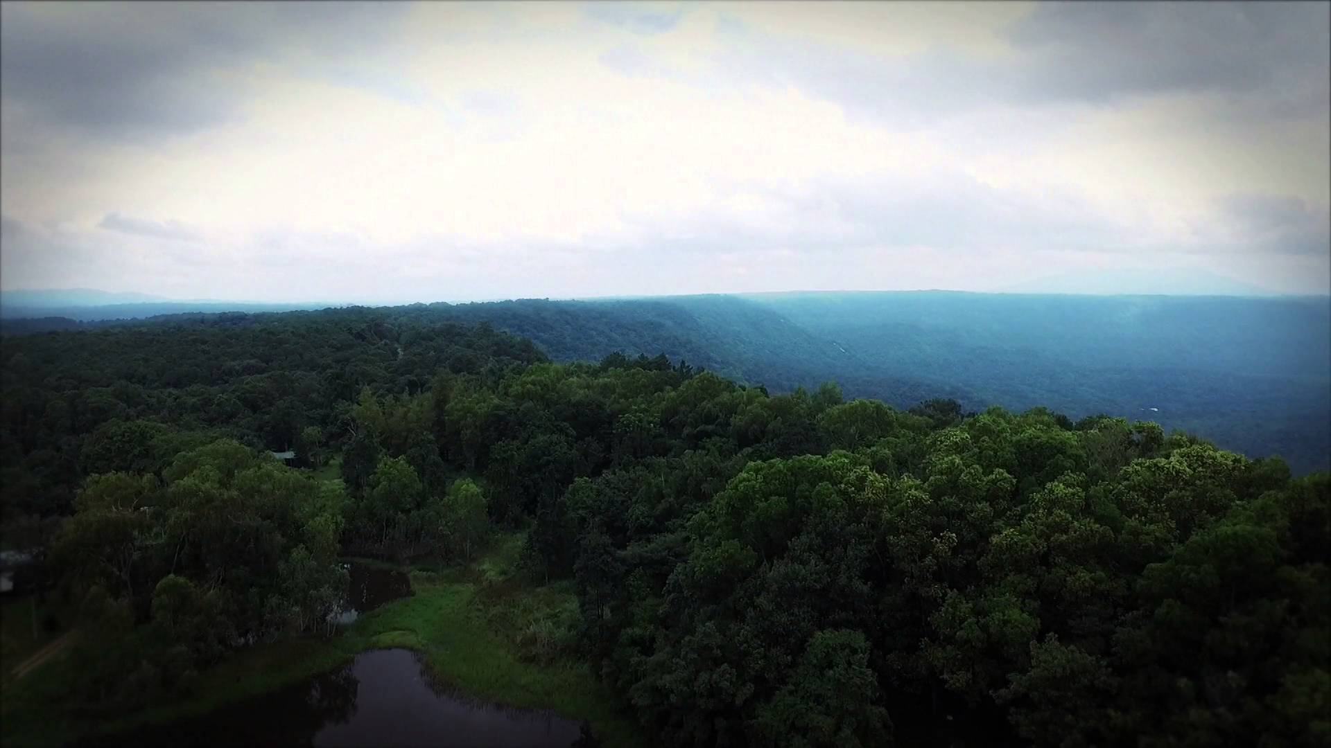 Featured Documentary Scent From Heaven Tease 4 promo The Global