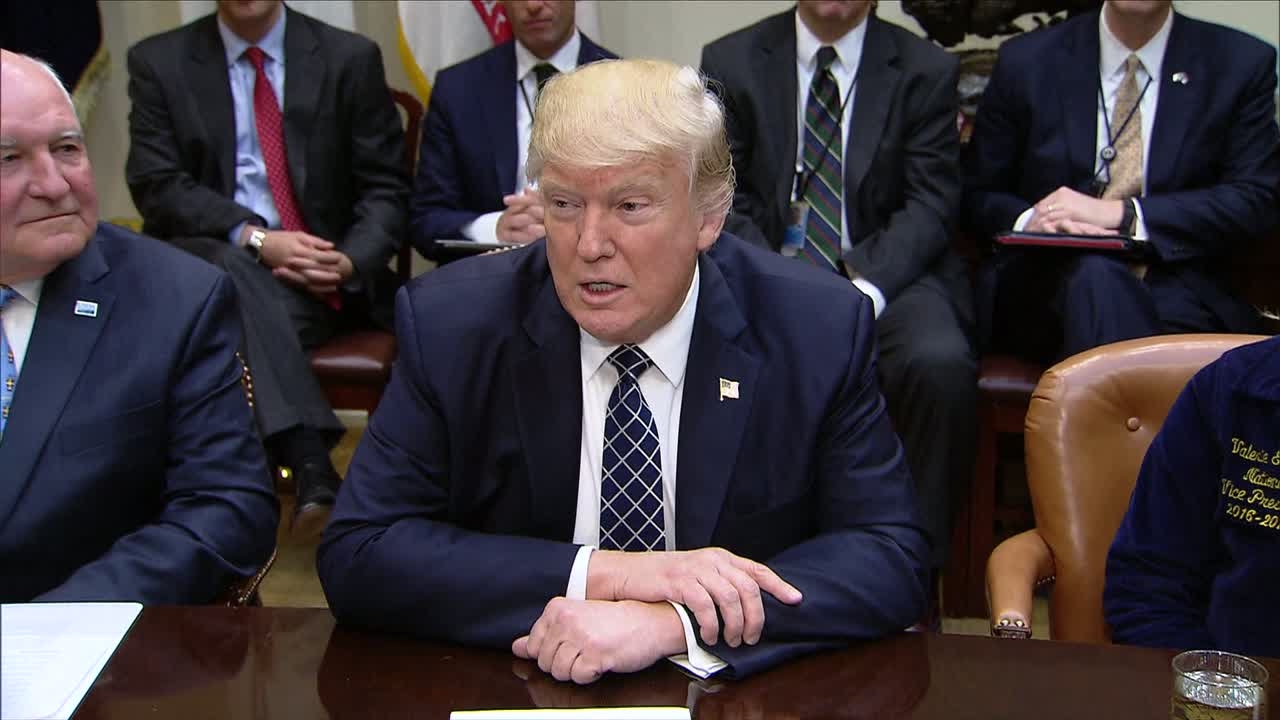 Trump Timber US - President Donald Trump announces