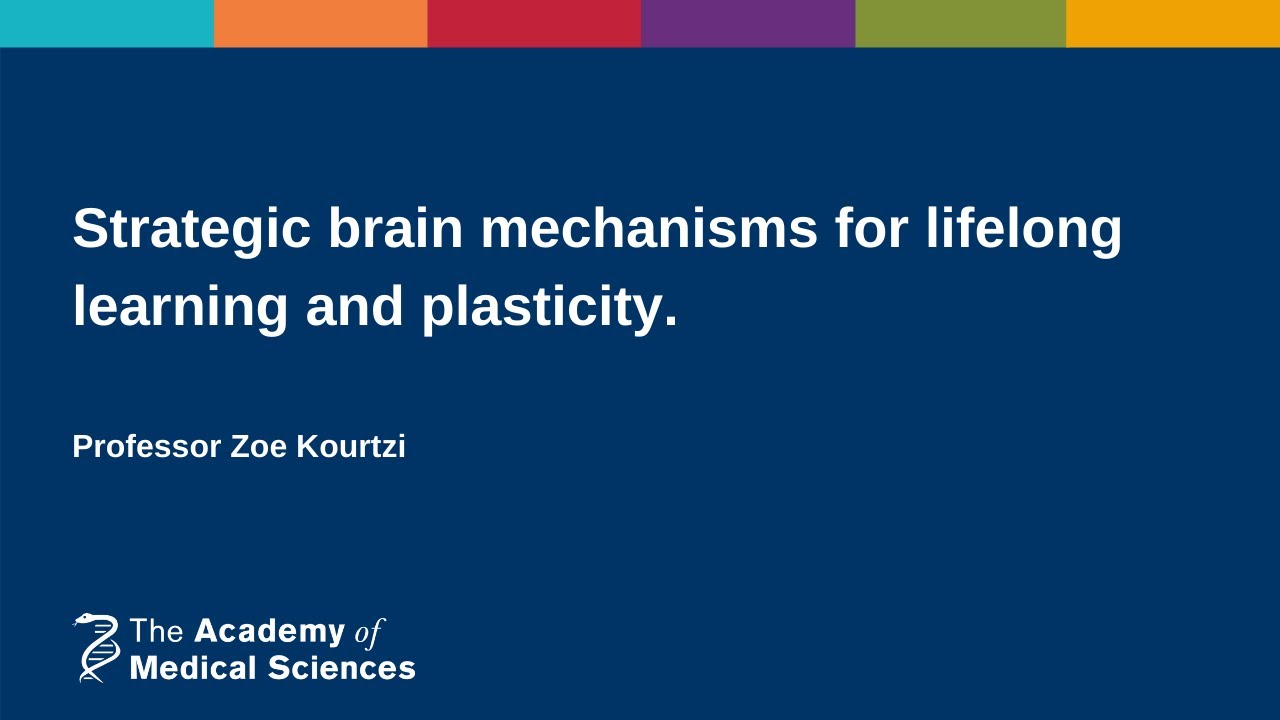 The Developing Brain | Professor Zoe Kourtzi - The Global Herald