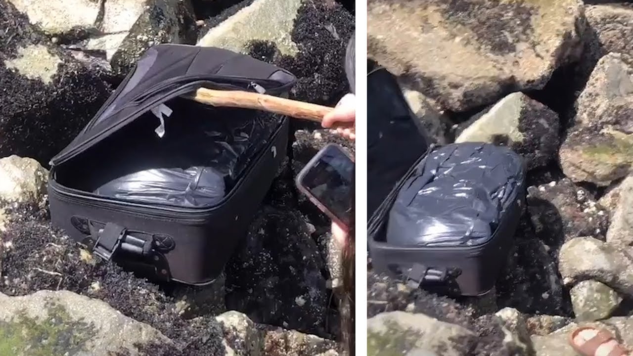 Teenagers on TikTok find suitcase with body parts The Global Herald