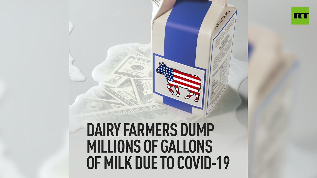 Devastated US dairy industry | Millions of gallons of milk go down the ...