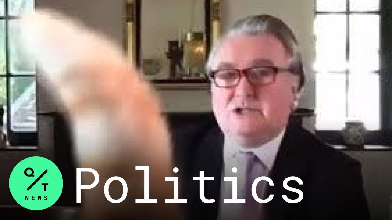 Rocco Put Your Tail Down Cat Interrupts Virtual Meeting Of U K