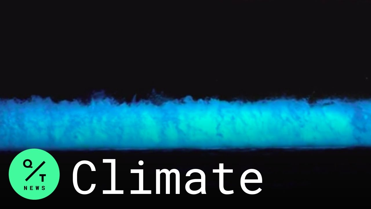 Bioluminescent Waves Glow in Monterey Bay, California The Global Herald