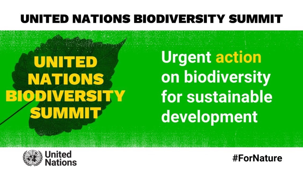 UN Summit on Biodiversity - 30 September 2020 - The Global Herald
