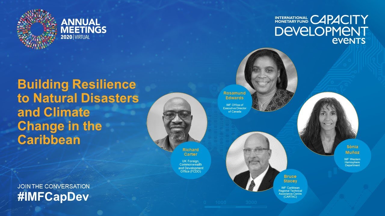 Building Resilience to Natural Disasters and Climate Change in the ...