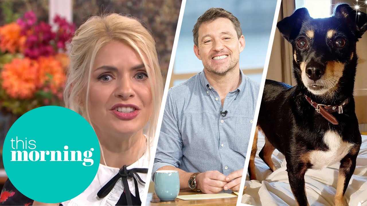 'Why Does My Dog Hate Ben Shepard?' This Morning The Global Herald