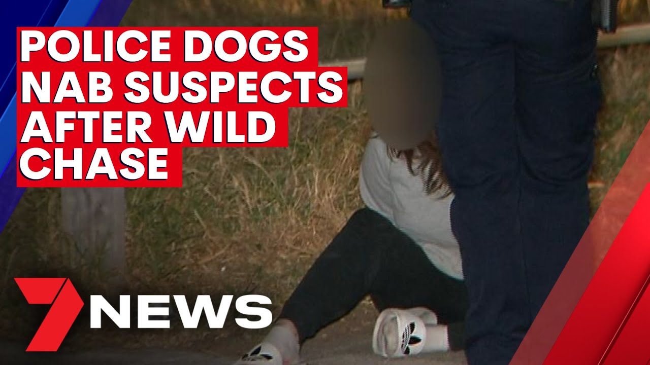 Dramatic police chase ends in two arrests with the aid of police dogs ...