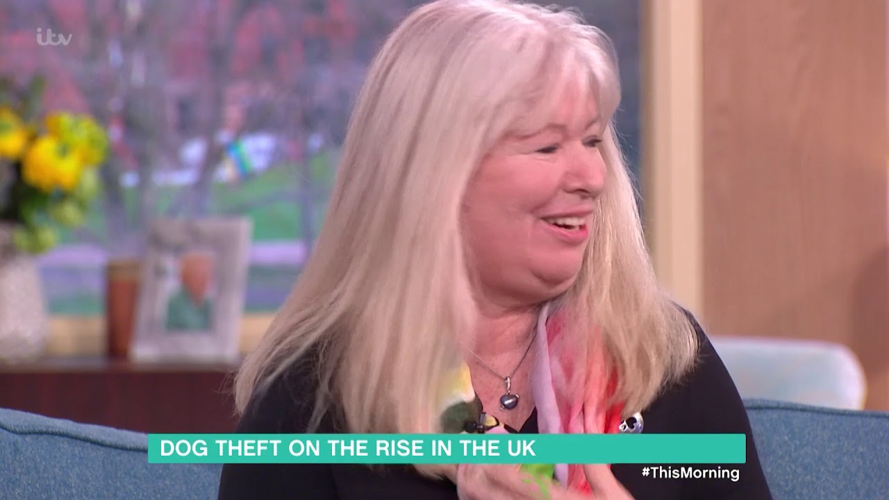 Dog Theft On the Rise in Britain This Morning The Global Herald