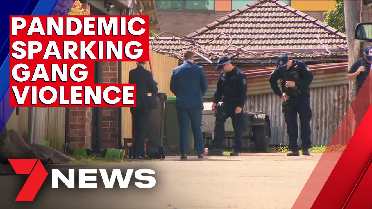 Gang violence in Sydney has escalated because of the coronavirus ...