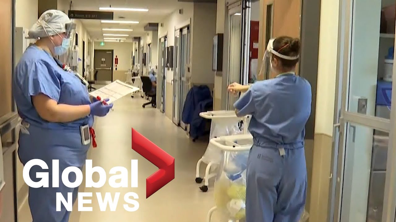Mental health professionals struggle quietly in the pandemic - The ...