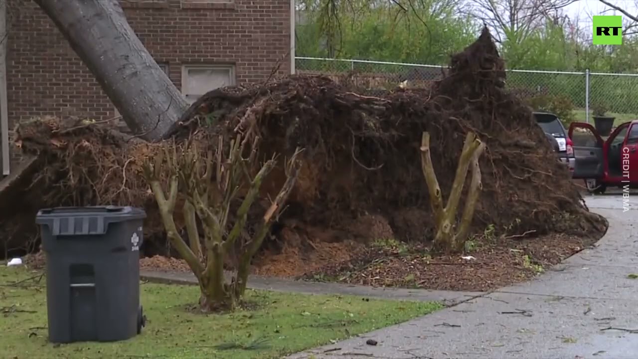 Massive tornadoes rip through Alabama, leaving at least 5 dead - The ...
