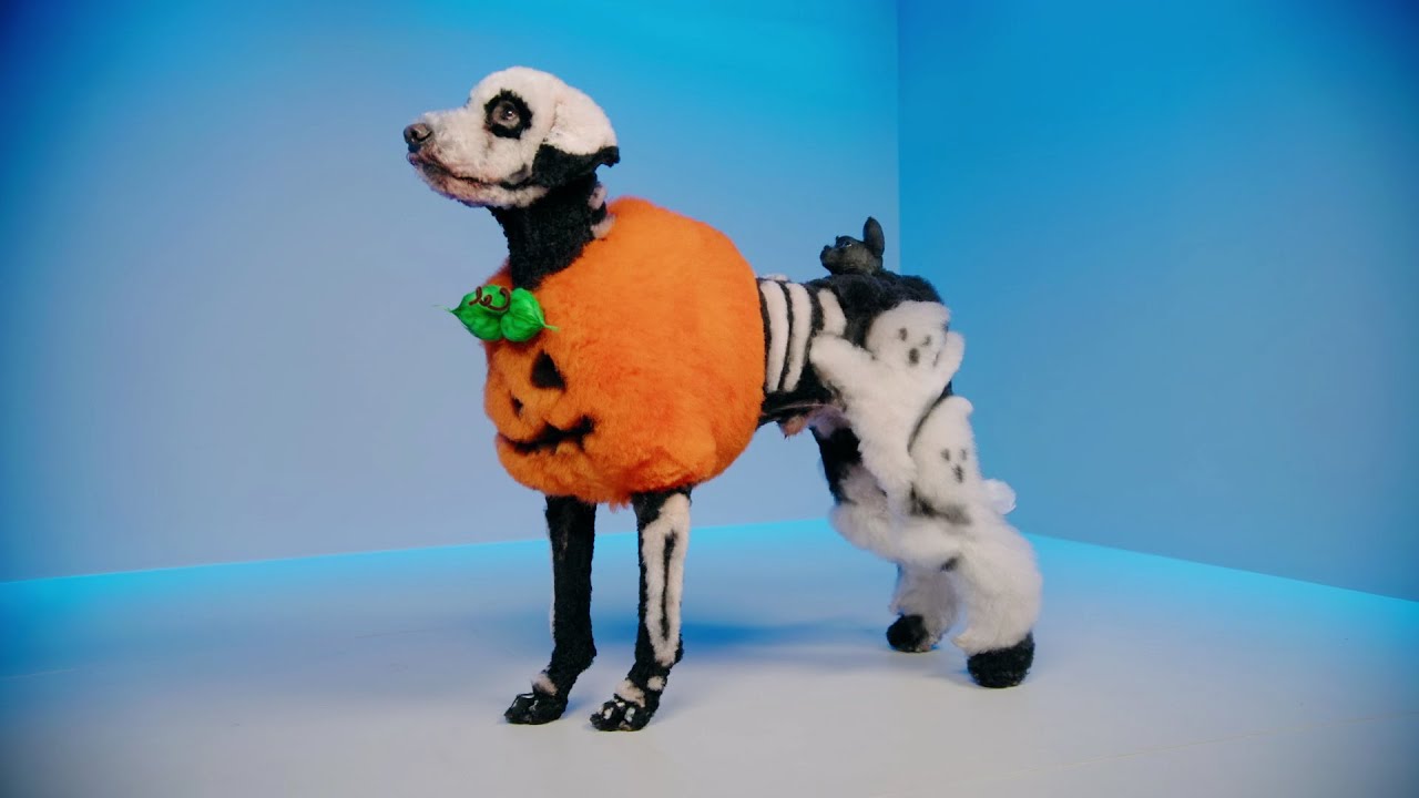 Alyssa Gets a Standing Ovation for Her Halloween Groom Pooch Perfect