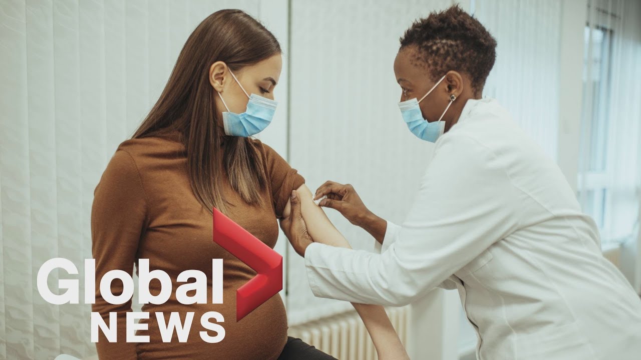 Push grows to prioritize pregnant Canadians for COVID19 vaccine The