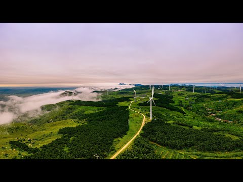 China's Green Efforts: Big data to help formulate carbon neutrality