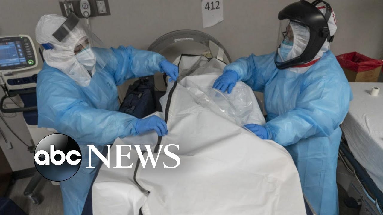 Grim milestone: US reaches 600,000 killed by COVID-19 - The Global Herald