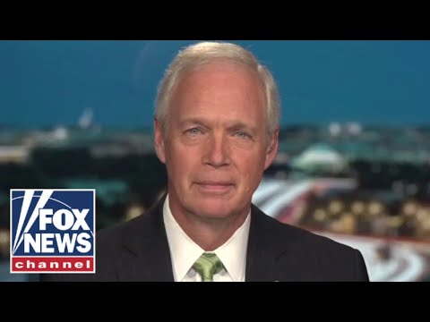 Ron Johnson claims new Hunter Biden art revelations 'stinks to high ...