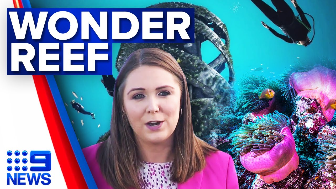 Artificial reef and dive site installed off Queensland coast 9 News