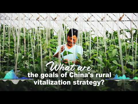 What are the goals of China's rural vitalization strategy? - The Global ...