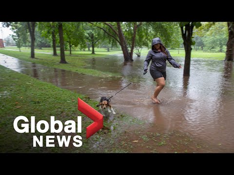 Tropical Storm Henri: Northeastern US inundated with heavy rainfall ...