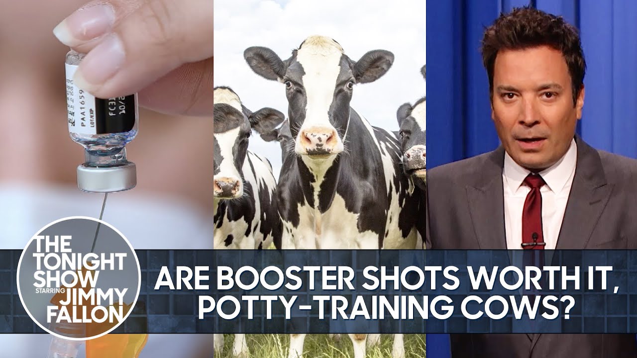 Are Booster Shots Worth It and Can Potty Training Cows Save the