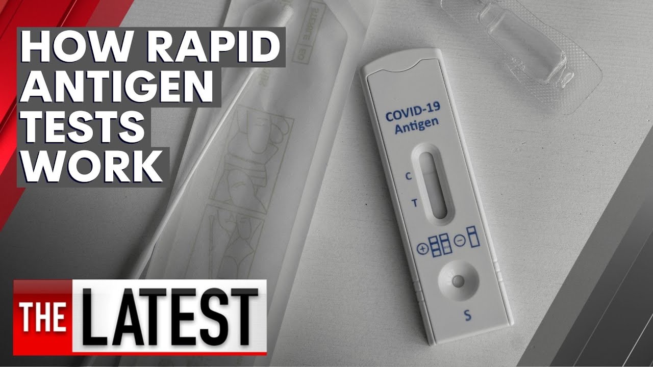 Your guide to rapid antigen testing kits | 7NEWS - The Global Herald