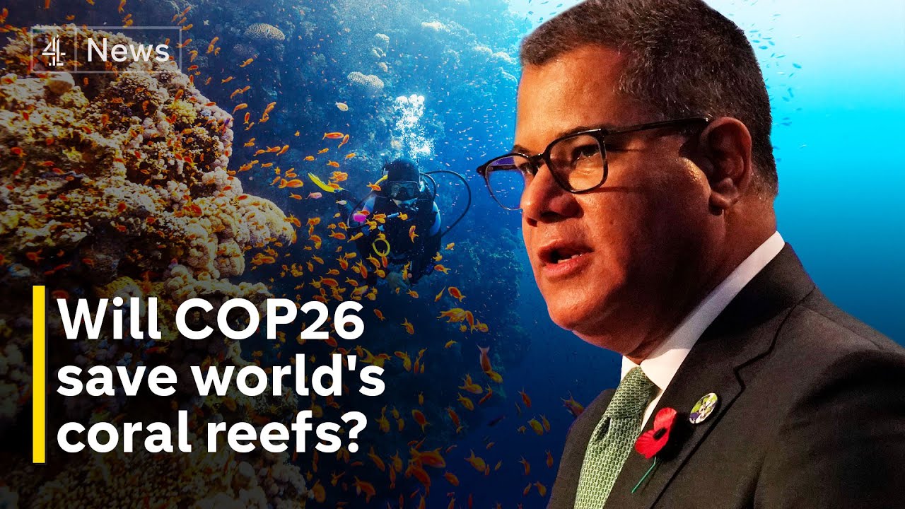 Will COP26 negotiations offer hope to save coral reefs? - The Global Herald