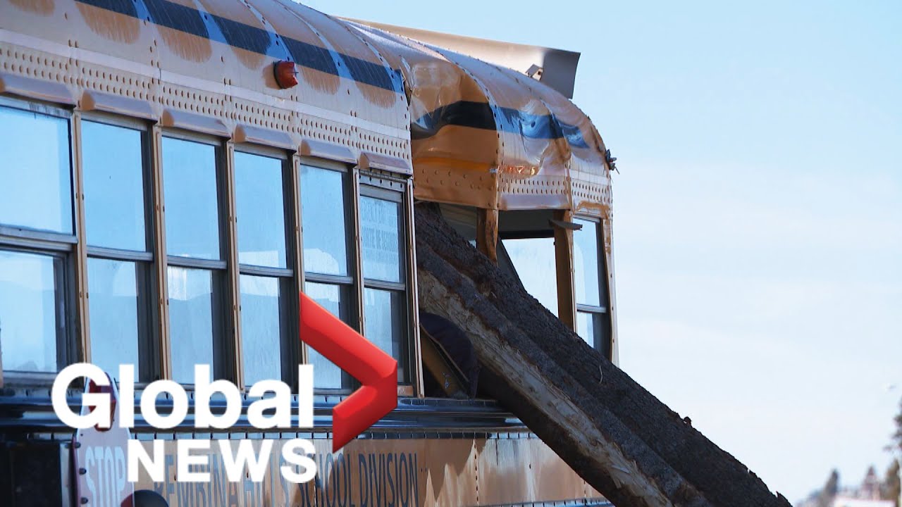 No children injured after Alberta school bus impaled by logs - The ...