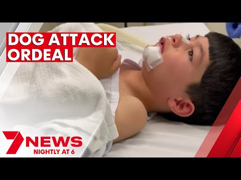 Six-year-old Melbourne boy attacked by two dogs at his school | 7NEWS ...