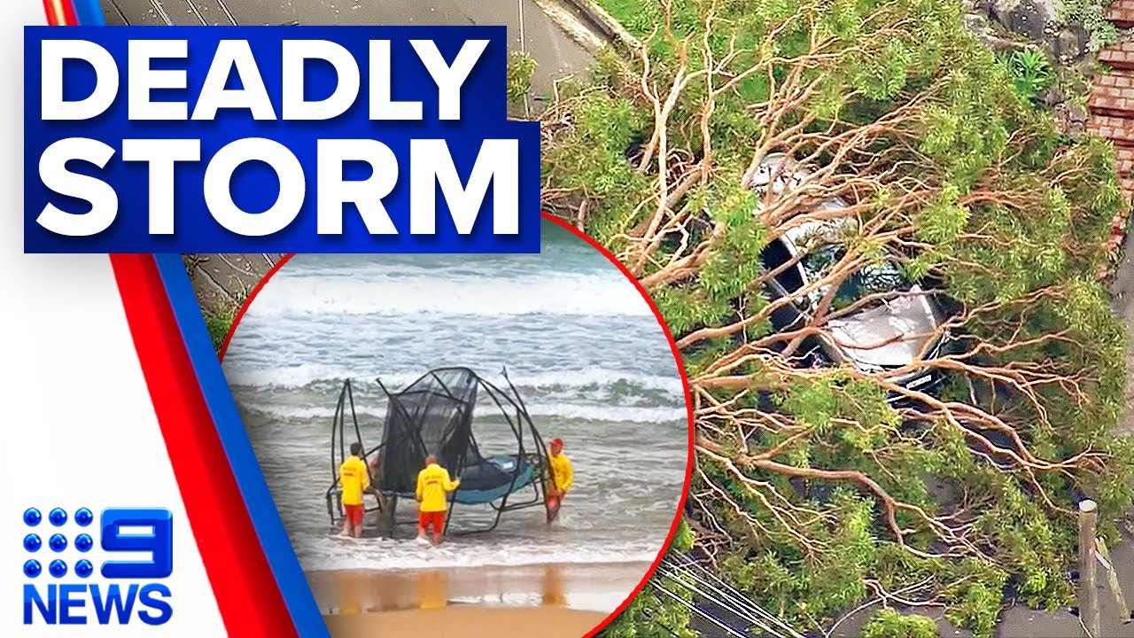One dead, two seriously hurt as Sydney hit by severe storm | 9 News ...
