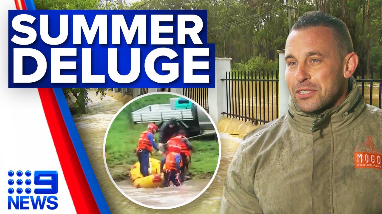 Woman dies in NSW floodwaters as storms drench the state | 9 News ...