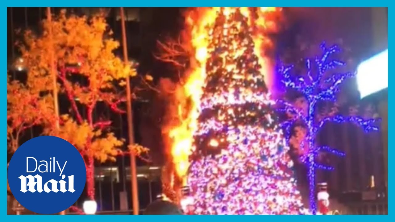 Fox News Christmas tree set on fire outside News Corp building The