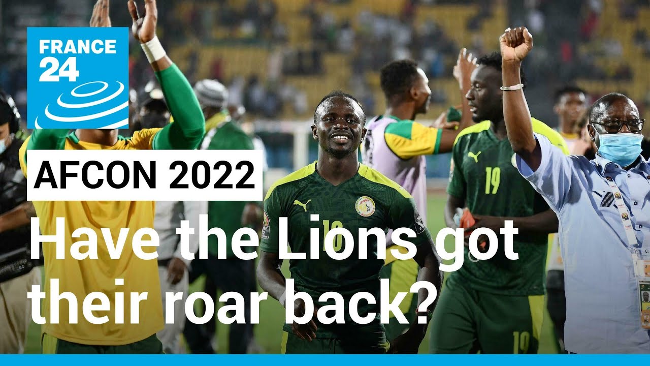 Spectacular Lions Of Teranga Roar Over Pharaohs In Afcon Semis View Nature Spectacular Lions Of Teranga Roar Over Pharaohs In Afcon Semis View Nature