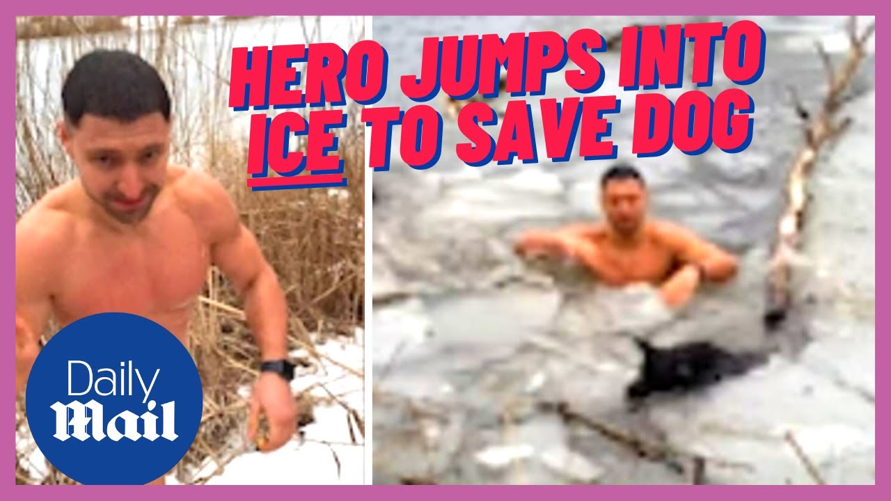 Animal rescue: Hero jumps into ICE to save dog stuck in frozen river in ...