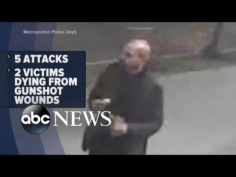 Suspect arrested in shootings of homeless men - The Global Herald