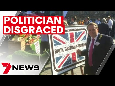 British politician forced to quit after pornography scandal | 7NEWS