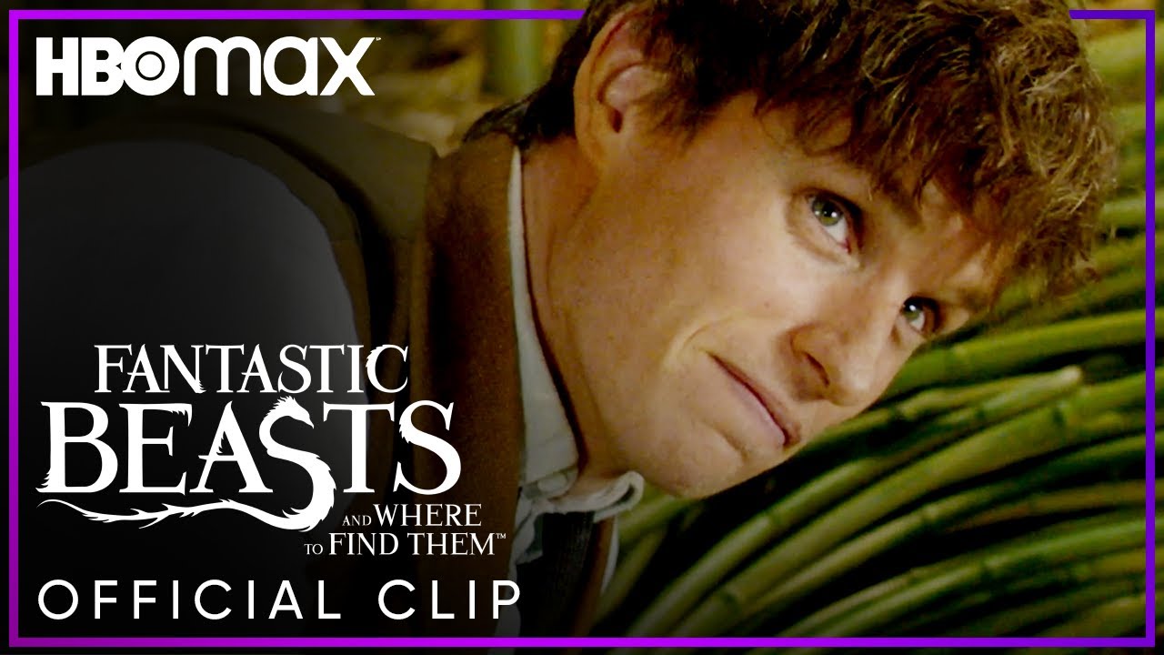 Newts Suitcase | Fantastic Beasts And Where To Find Them | HBO Max