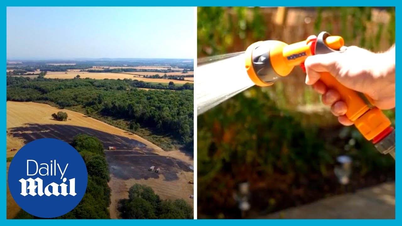 Extreme UK weather Hose pipe ban and water shortages due to heatwave