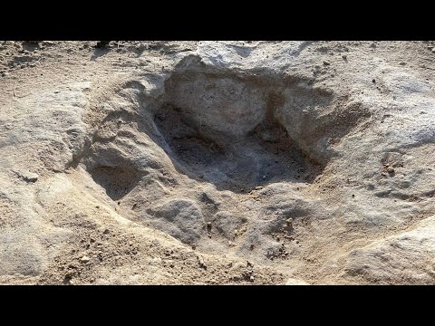 Texas drought reveals dinosaur tracks from 113 million years ago in