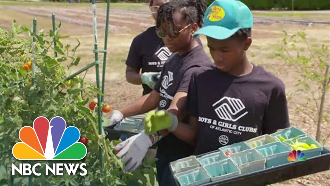 New Jersey Farm Teaches Kids To Grow Crops And Help Their Community