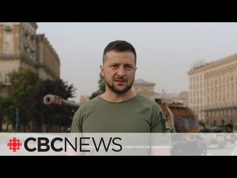 Zelenskyy praises 'new nation' on Ukraine's Independence Day - The ...