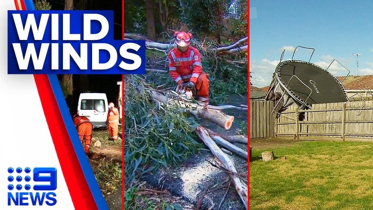 Destructive winds tear down trees and powerlines in Victoria | 9 News ...
