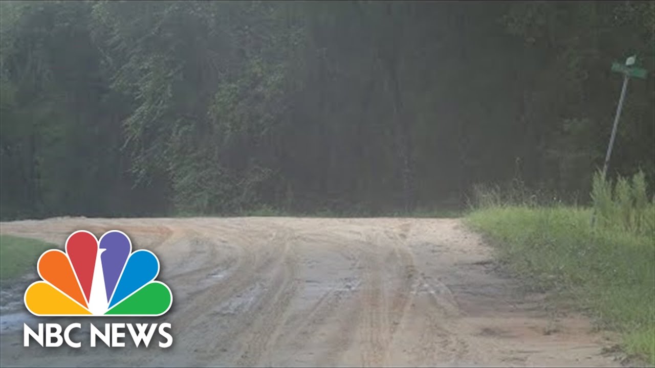 Florida Postal Carrier Mauled By Dogs After Car Breaks Down - The ...