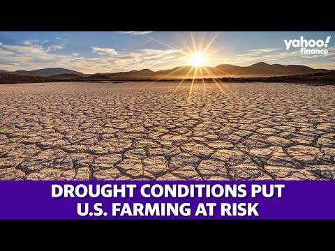 How U.S. drought conditions are affecting farming - The Global Herald