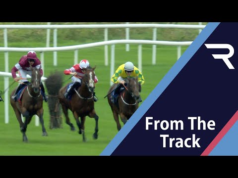 Galway Hurdle runner-up Jesse Evans claims Grade 3 glory in the Horse