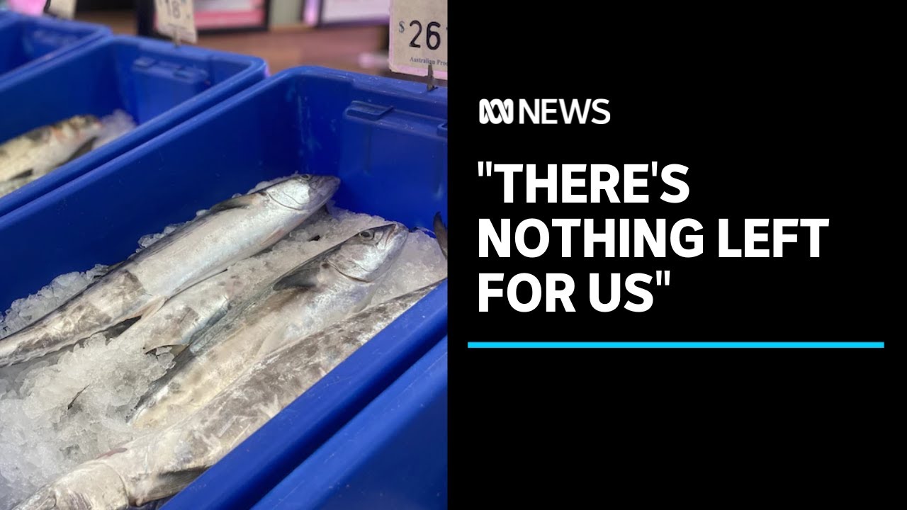 Fishing industry pushes back against nofish zones in Queensland marine