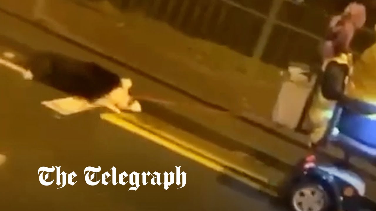 Shocking footage of woman dragging dog behind her while driving