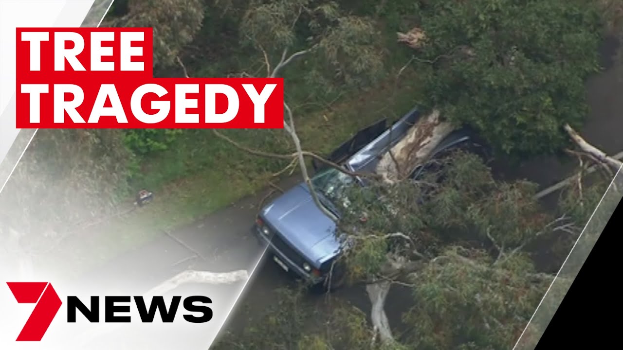 Woman killed and man injured after tree crashes car at Woodend | 7NEWS ...