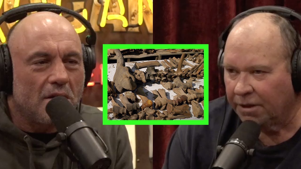 John Reeves Stumbled Upon a Goldmine of Ice Age Fossils The Global Herald