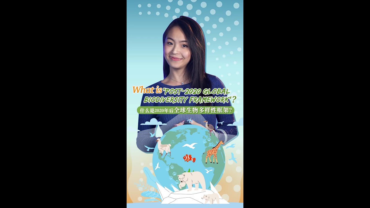 What Is Post 2020 Global Biodiversity Framework The Global Herald