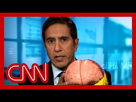 Uncovering the Long Term Effects of CBD Gummies: A Comprehensive Review YvdOd